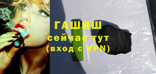 гидра Елизово