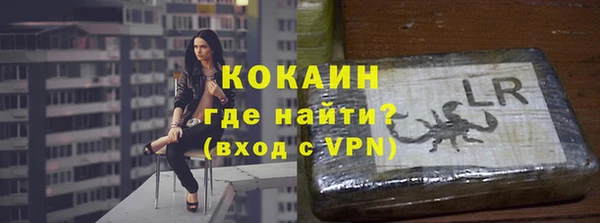 мдпв Дмитриев