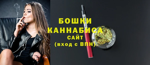 трава Ельня