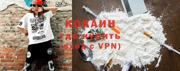 мдпв Дмитриев