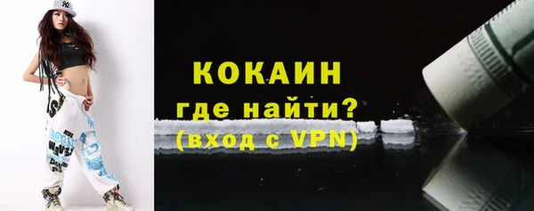 мдпв Дмитриев