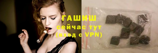 мдпв Дмитриев