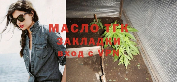 гидра Елизово