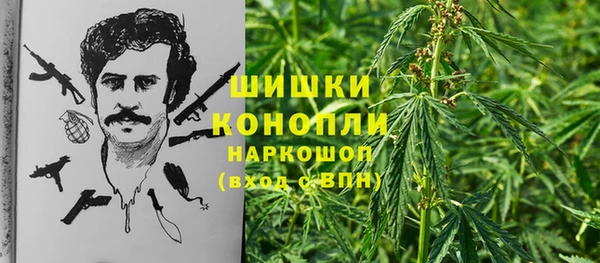 тгк Дмитров
