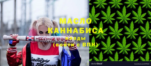 тгк Дмитров