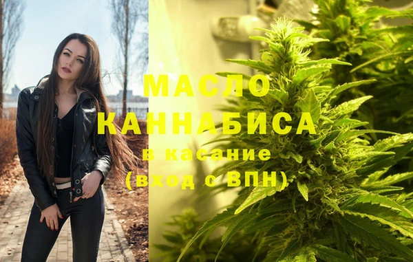 тгк Дмитров
