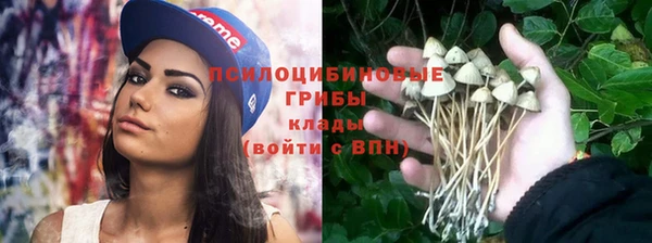 трава Ельня