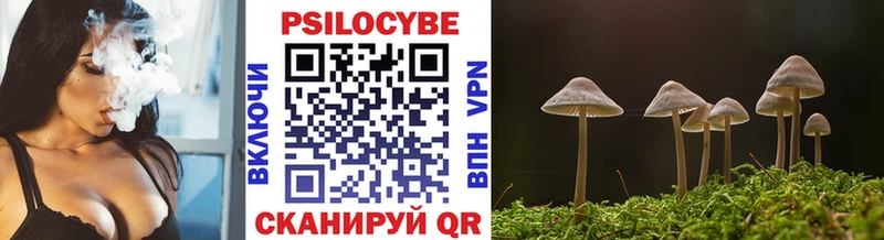 Галлюциногенные грибы Psilocybe Цивильск