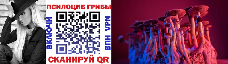 блэк спрут ссылки Цивильск нарко площадка Telegram Псилоцибиновые грибы мицелий