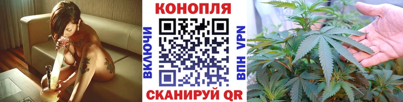 кракен рабочий сайт  Цивильск  Шишки марихуана Bruce Banner 